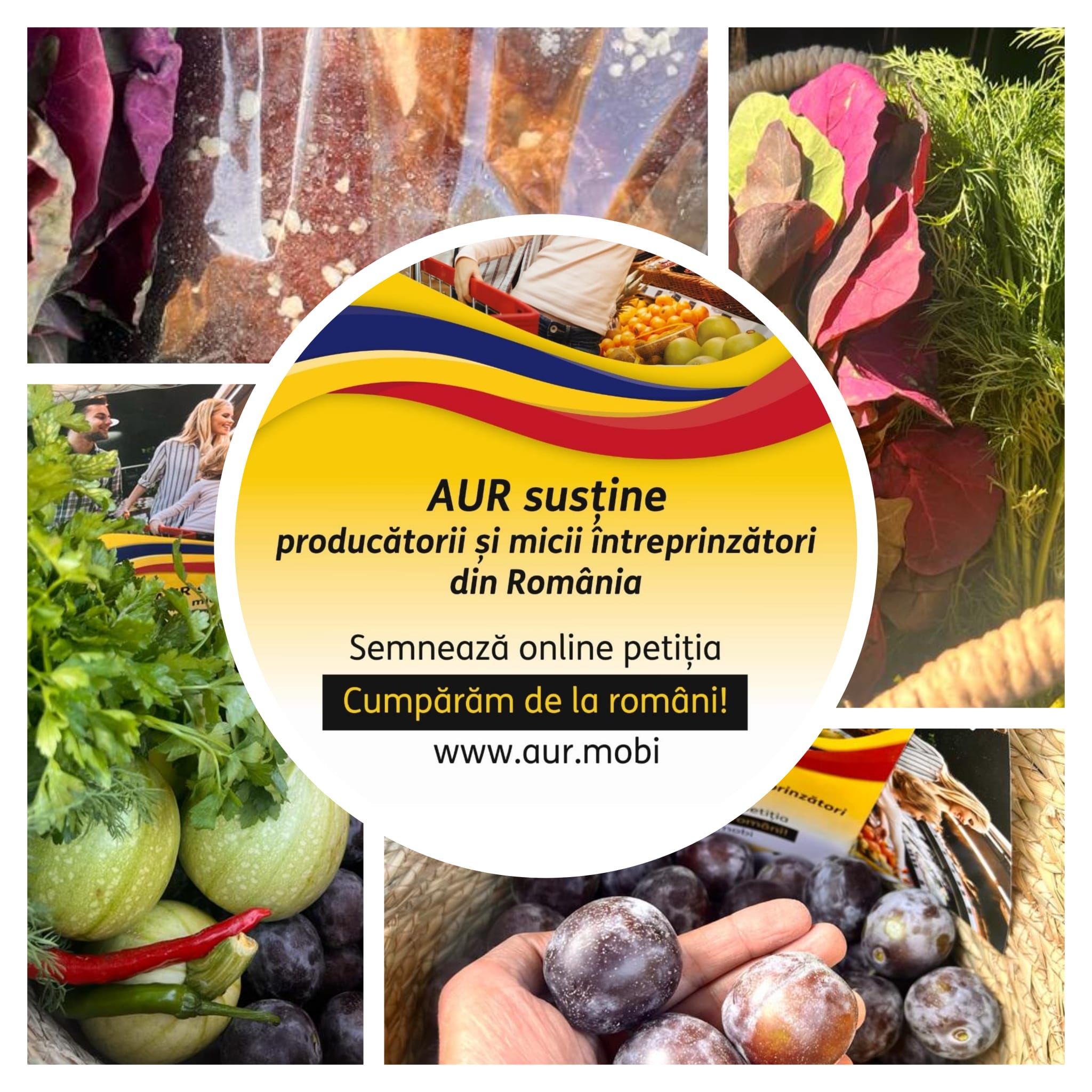 Rolul susținerii producției agro-alimentare locale în asigurarea securității alimentare a României